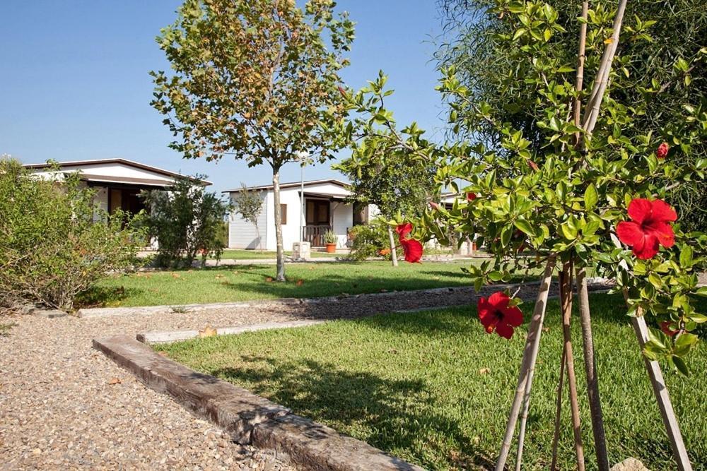 Alojamiento Cortijo el Caserio Hostal Conil De La Frontera Habitación foto